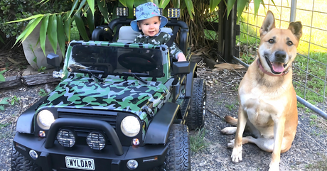 A baby wearing a blue hat sitting in a green camouflage ride-on toy car next to a large smiling dog in a garden.