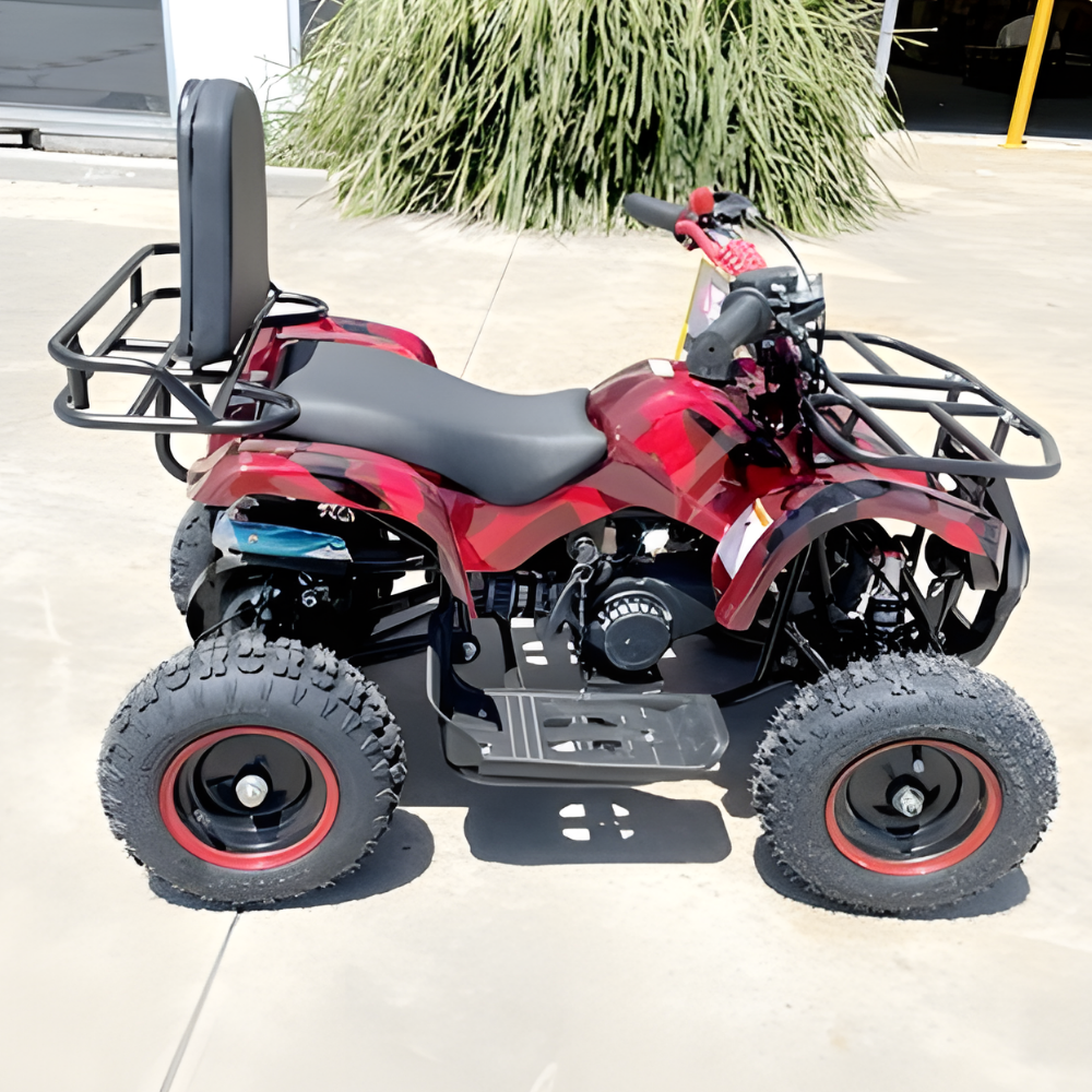 Red and black ATV parked on a concrete surface with plants in the background