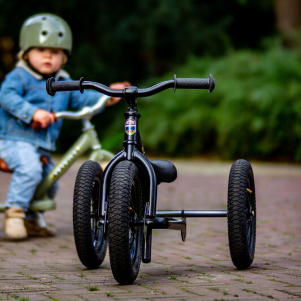 Child riding a tricycle on a paved path with greenery in the background