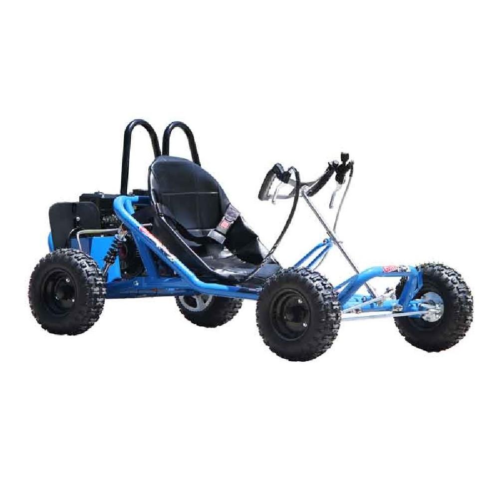 Blue 2 Seat Petrol Power 4 Stroke Go Kart All Terrain Vehicle – Kids Petrol  Cars