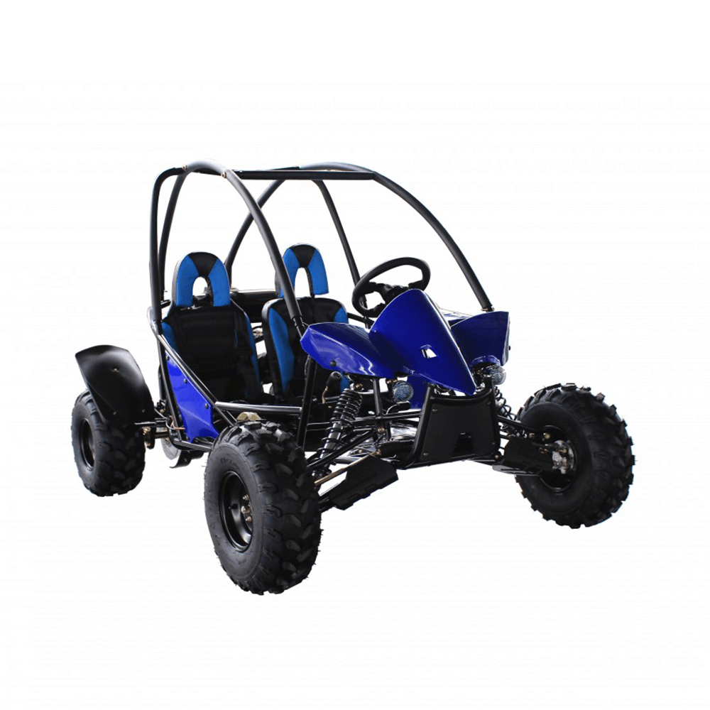 Buggies blue on sale