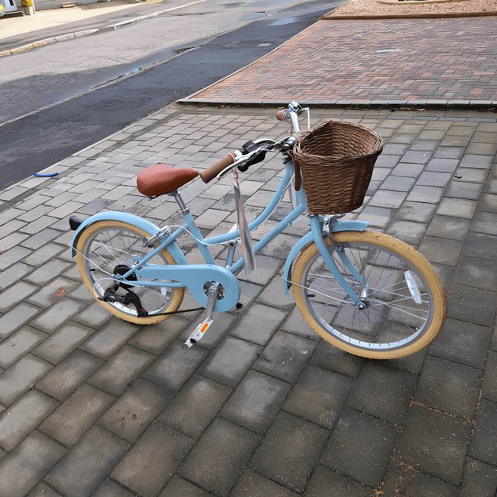 RoyalBaby 18-inch Vintage Style Kids Bike - Macaron Blue