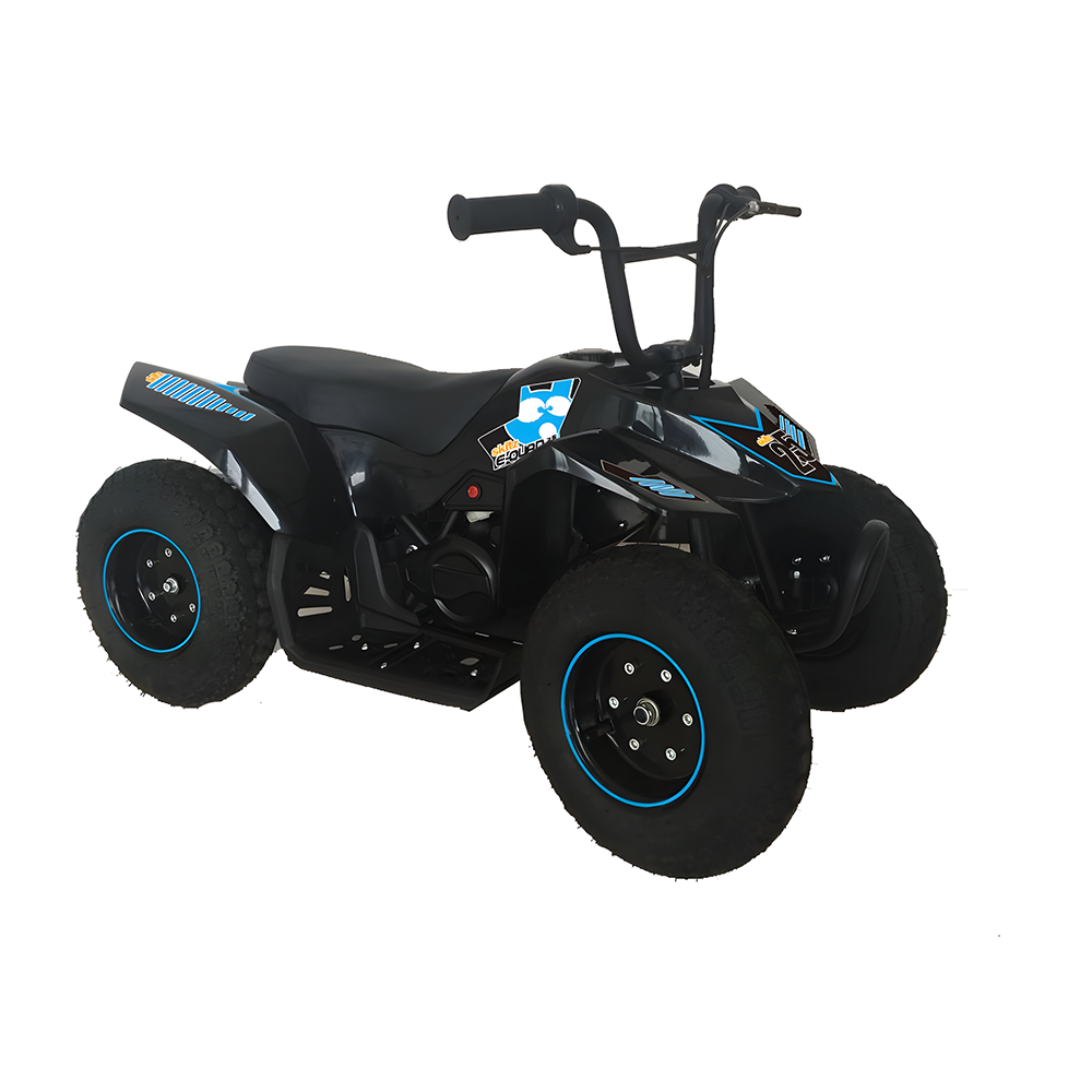 Electric quad bike 24v online