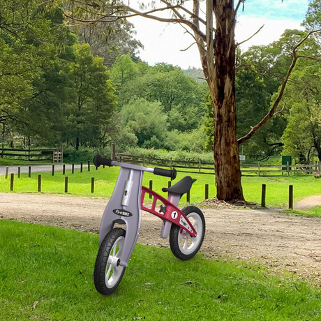 bike on the grass outdoor