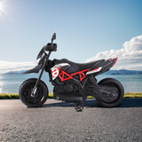 Children's toy motorcycle on a road with a scenic background of water and mountains.