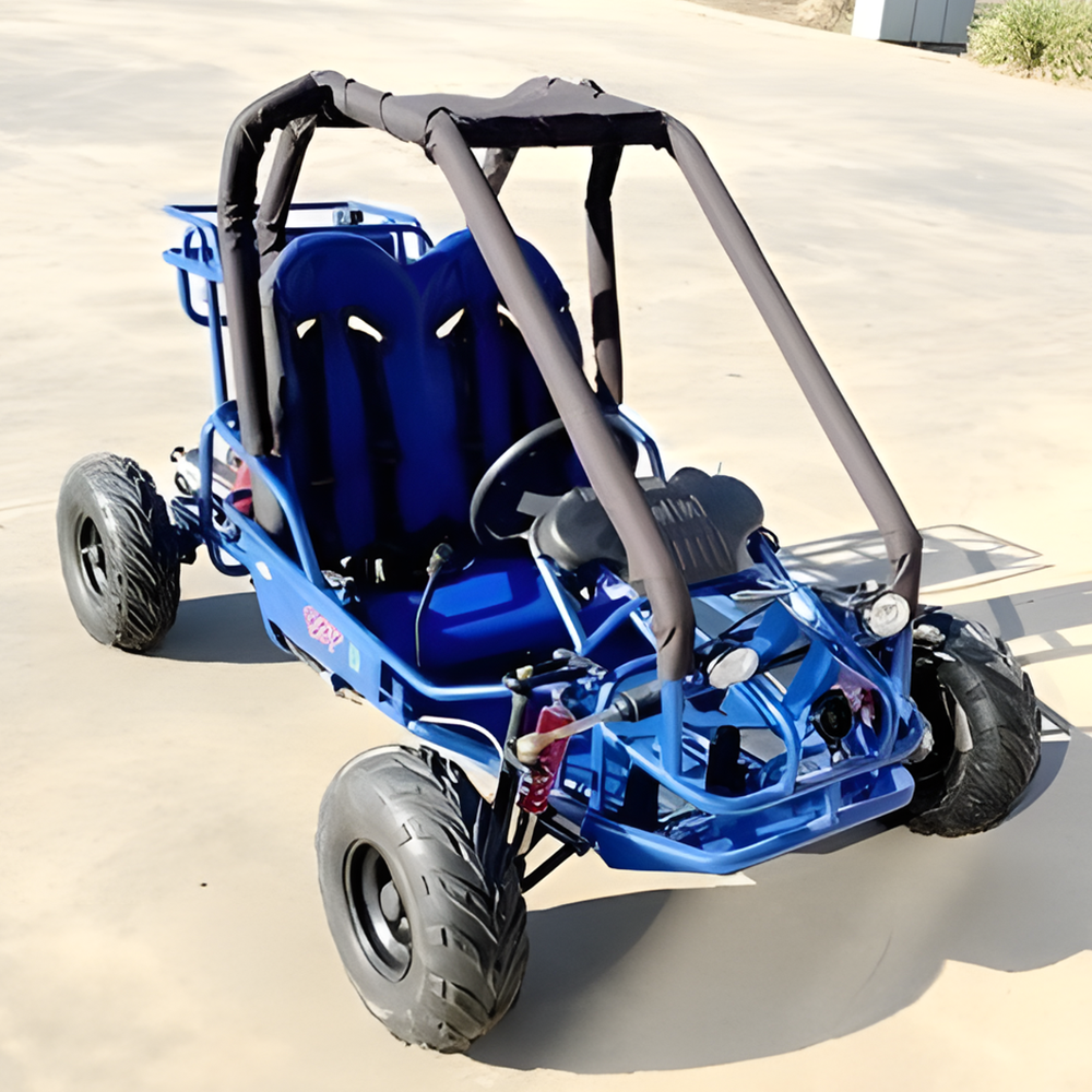 MJM 90cc 2 Seater Offroad Kids ATV Dune Buggy Blue Kids Car Sales