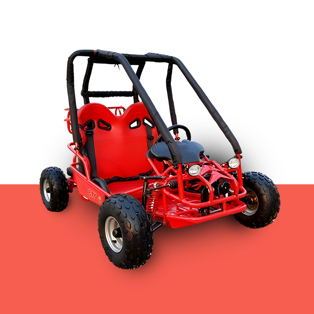 2 seater off road buggy online