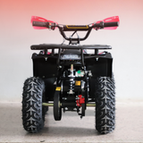 Back view of a black ATV with red accents on a light gray background