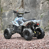 Rear view of Motoworks 110cc Petrol-Powered Sports F1 Kids Quad Bike - Blue