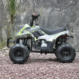 Side view of Motoworks 110cc Petrol-Powered Sports F1 Kids Quad Bike - Green