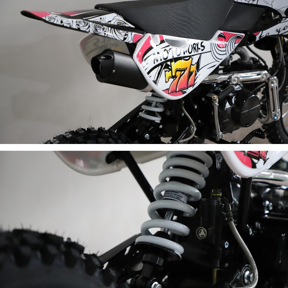 Engine and side frame detail, showing the kickstart, foot peg, and branding graphics.

