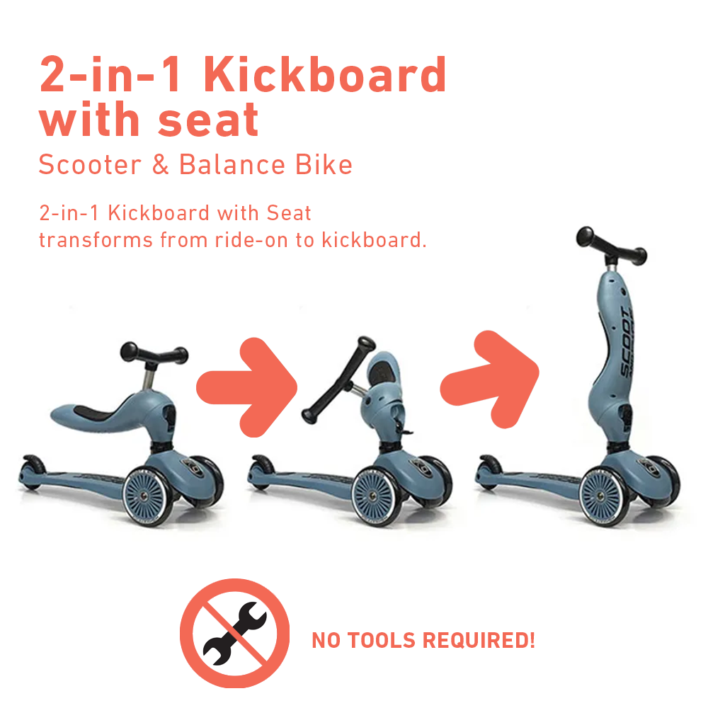 2 in 1 kickboard with seat