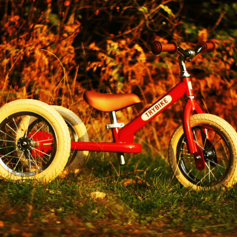 Red balance bike with a brown seat in a natural setting