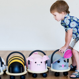 Child playing with animal-themed toy cars on a wooden floor.