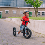 Trybike Trybike Steel 2 in 1 Kids Trike/Balance Bike - Grey TB6144