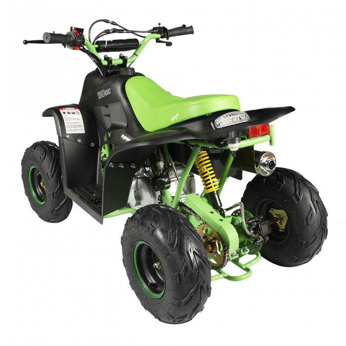 GMX GMX Ripper-X 110cc Junior Kids Quad Bike - Black/Green GE-YB110X-BLKGRN