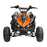 GMX GMX Beast 110cc Petrol-Powered 4-Stroke Kids Sports Quad Bike - Orange GE-YX110-ORG