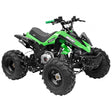 GMX GMX The Beast 125cc Petrol-Powered 4-Stroke Sports Quad Bike - Green GE-YX125-GEN