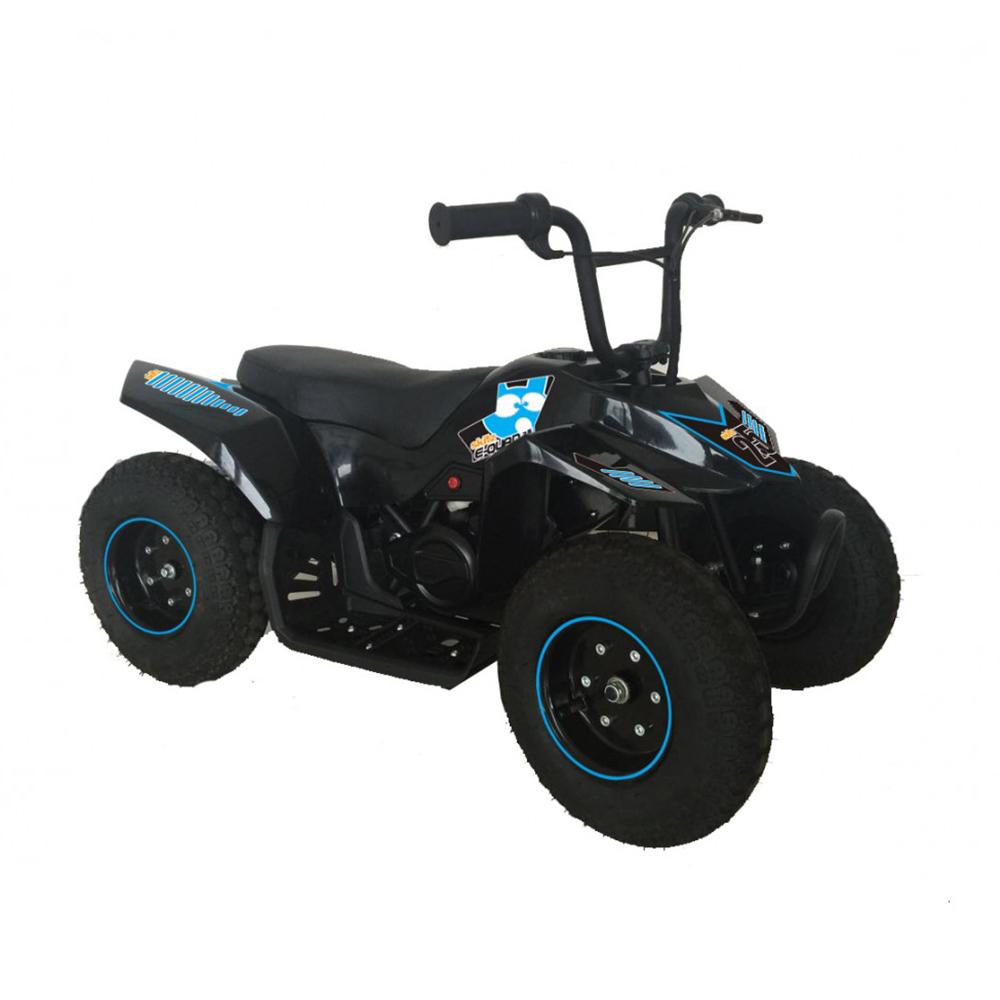 Electric quad sales bike 24v
