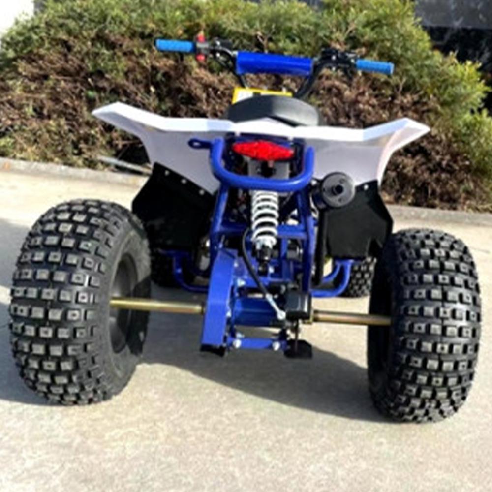 MJM MJM 125cc 1+1 Petrol Powered Kids Sports Quad BIke - Blue MJM-125ATV1+1-SP-BLU