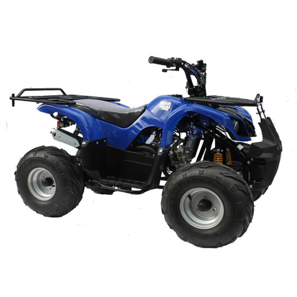 Motoworks Motoworks 125cc Petrol Powered 4-Stroke Farm Kids Quad Bike - Blue MOT-125ATV-FA-BLU