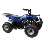 Motoworks Motoworks 125cc Petrol Powered 4-Stroke Farm Kids Quad Bike - Blue MOT-125ATV-FA-BLU
